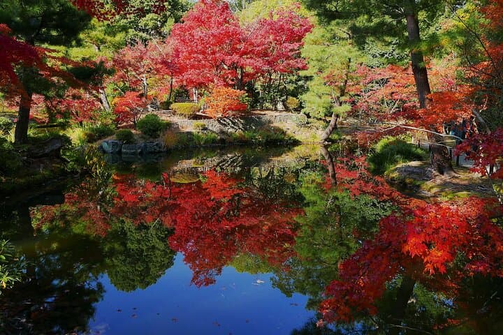 Kyoto Gardens Through the Ages a Peaceful Journey — photo 8