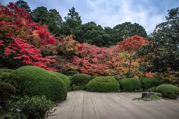Kyoto Gardens Through the Ages a Peaceful Journey — photo 18