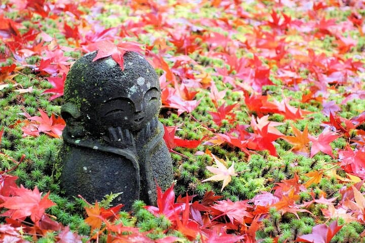 Kyoto Gardens Through the Ages a Peaceful Journey — photo 19