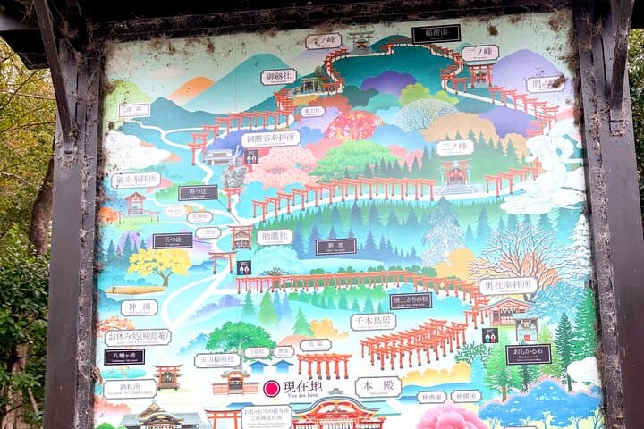 Kyoto:Private Highlights Tour with English Guide & Hotel Pickup — photo 19