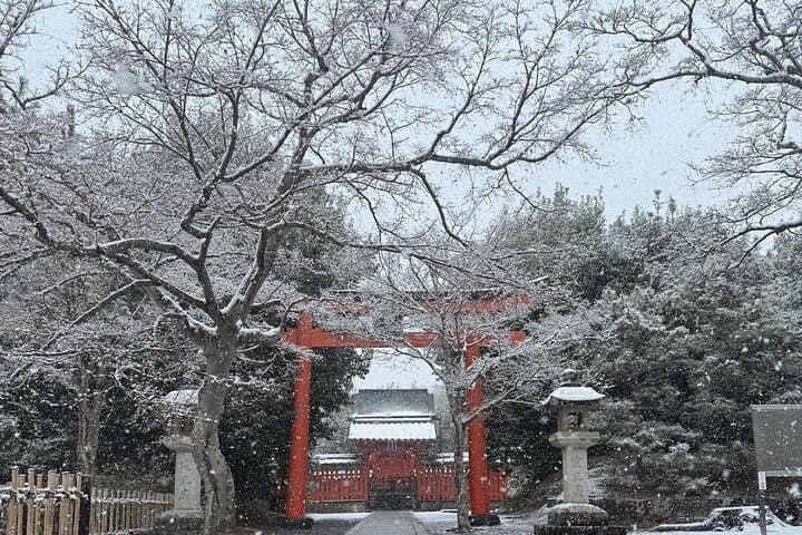 Kyoto:Private Highlights Tour with English Guide & Hotel Pickup — photo 20