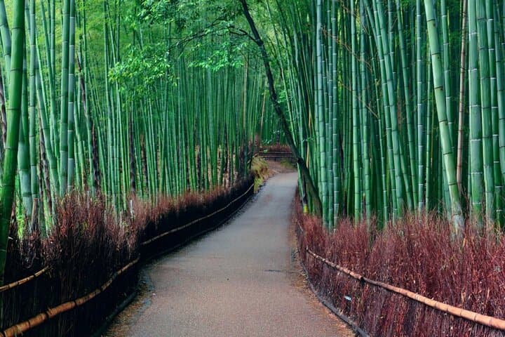 Kyoto & Nara: Private Day Tour by luxury Vehicle & English Guide — photo 14