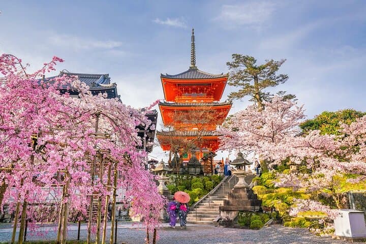 Kyoto & Nara: Private Day Tour by luxury Vehicle & English Guide — photo 4