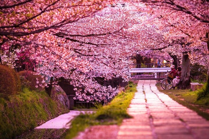 Kyoto:Private Highlights Tour with English Guide & Hotel Pickup — photo 3