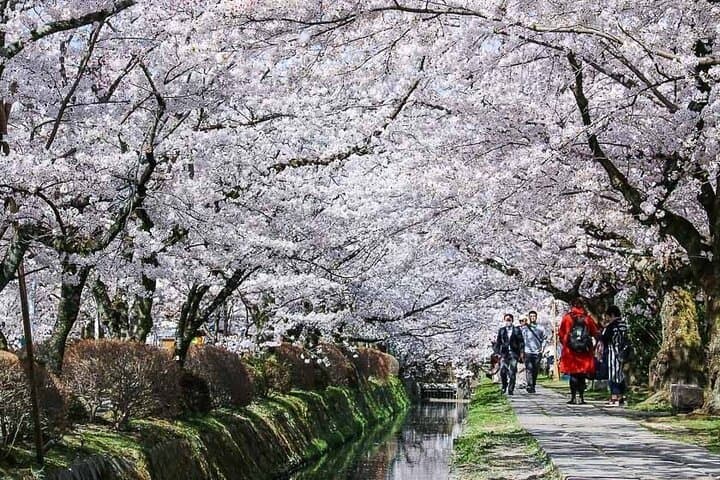 Kyoto:Private Highlights Tour with English Guide & Hotel Pickup — photo 2