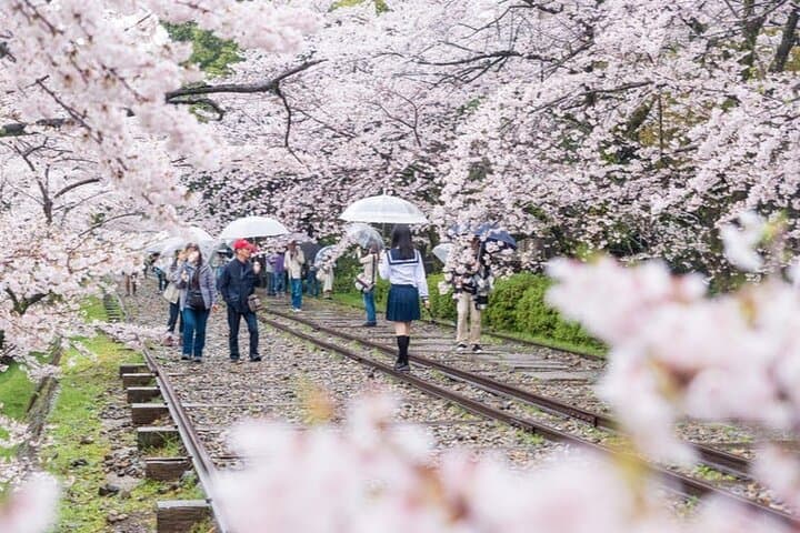 Kyoto:Private Highlights Tour with English Guide & Hotel Pickup — photo 12