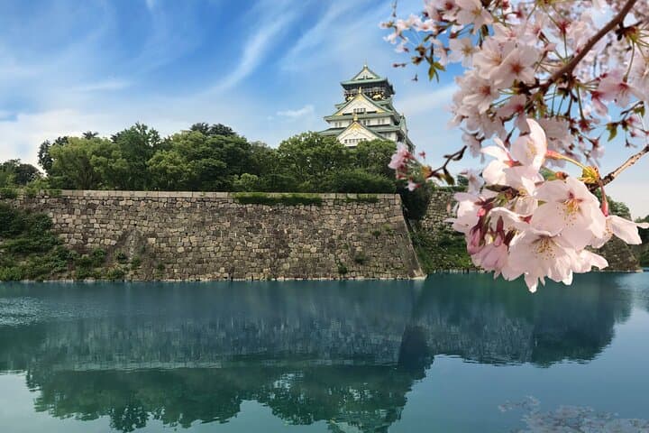 Osaka & Nara: Highlights Private English Guided Tour From Kyoto — photo 4