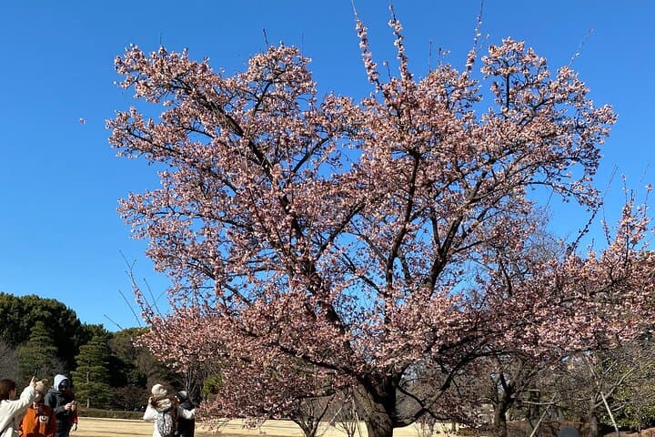 Imperial Palace Walking Tour: The Shoguns and the Imperial Family — photo 14