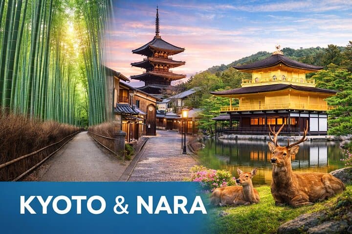 Kyoto & Nara: Private Day Tour by luxury Vehicle & English Guide — photo 1