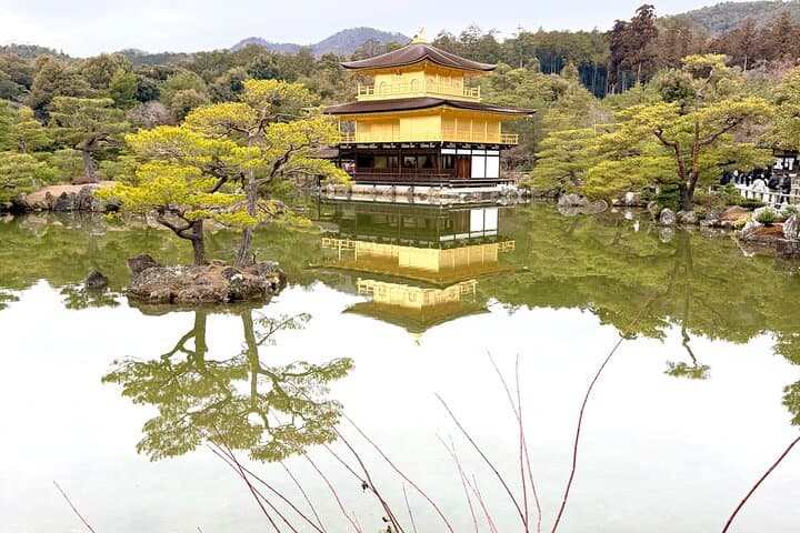 Kyoto & Nara: Private Day Tour by luxury Vehicle & English Guide — photo 20