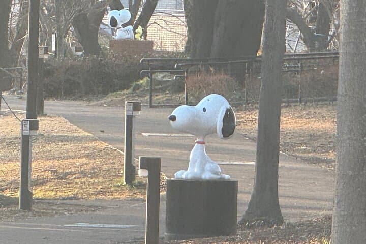 Snoopy Park and Pet Friendly Outlet — photo 5