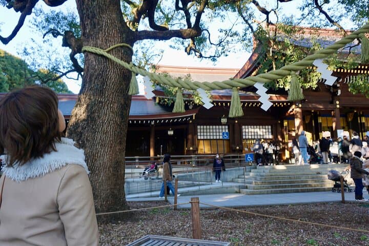 Tokyo Pre Japan Planning Kit Itineraries, Food & Survival — photo 19
