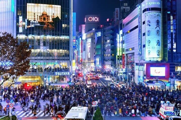 Private Customizable Tokyo City Tour with Highlights — photo 5