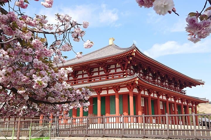 Depart from Osaka & Kyoto: Classic Nara Park&Fushimi Inari Tour — photo 4