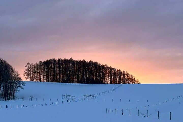 Sunset and Night Snowmobile Experience in Winter Sheep Farm — photo 3
