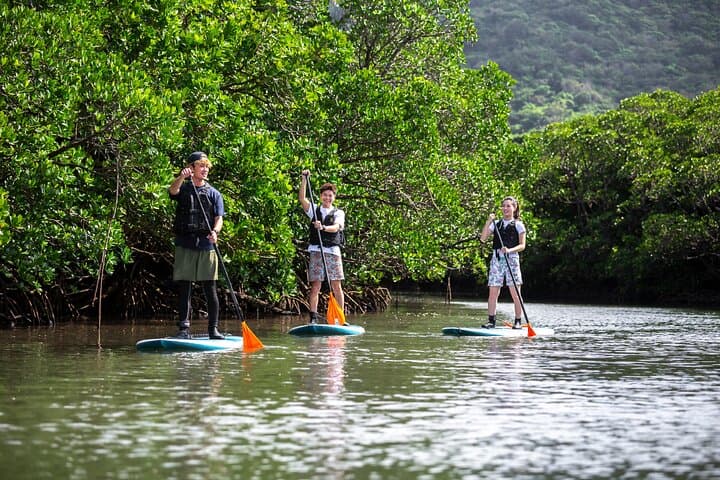Ishigaki Mangrove Canoe or SUP & Taketomi Island Exploration — photo 3