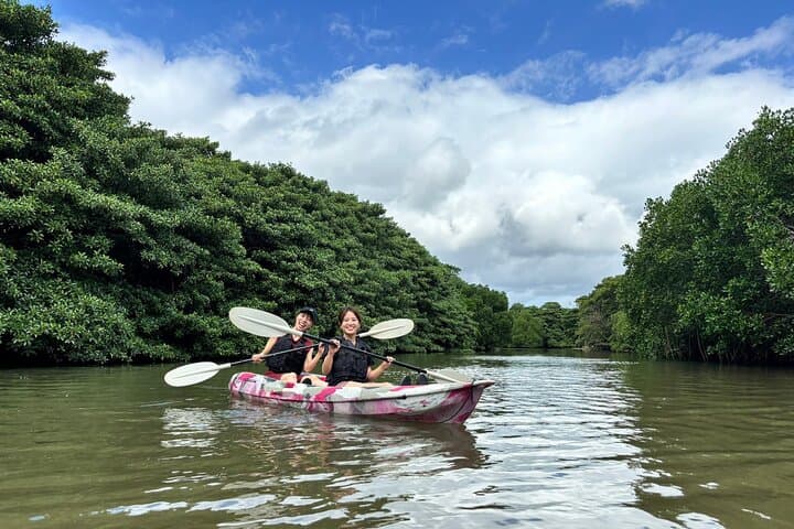 Ishigaki Mangrove Canoe or SUP & Taketomi Island Exploration — photo 5