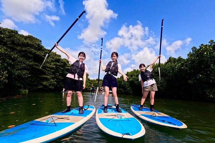 Ishigaki Mangrove Canoe or SUP & Taketomi Island Exploration — photo 10