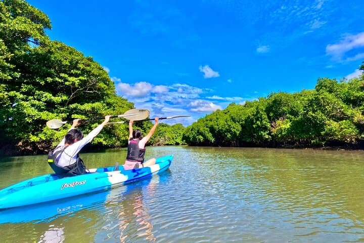Ishigaki Mangrove Canoe or SUP & Taketomi Island Exploration — photo 11