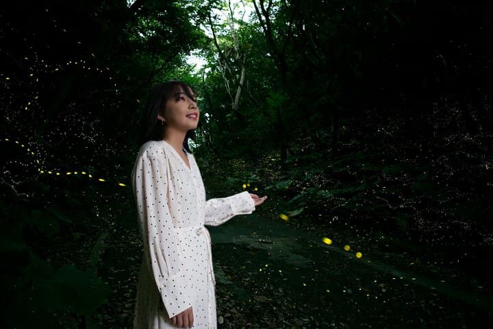 Ishigaki Sunset Limited Time Yaeyama Firefly Viewing Tour — photo 2
