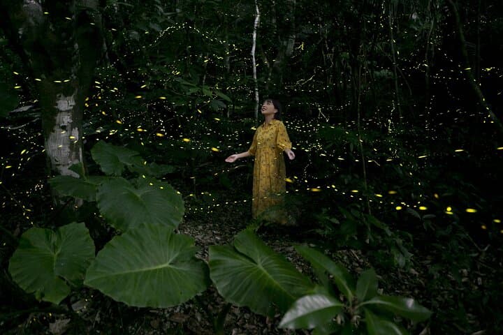 Ishigaki Sunset Limited Time Yaeyama Firefly Viewing Tour — photo 4