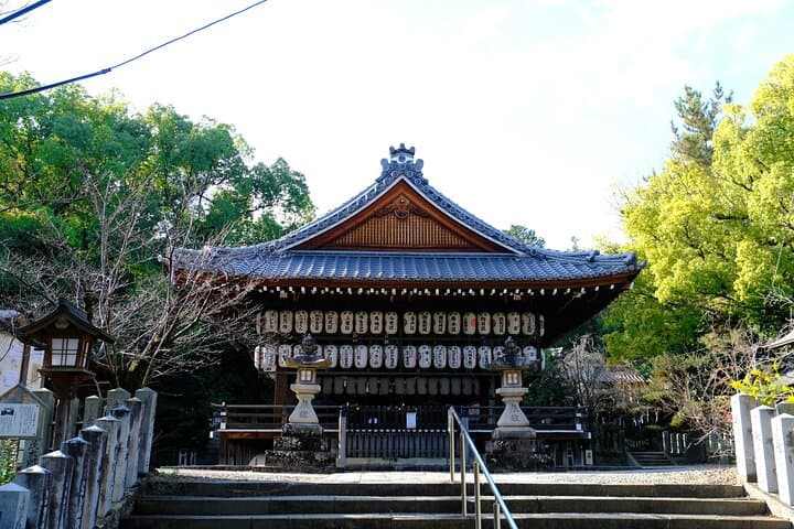 Bamboo Cycling in Kyoto with Local Life Experience and Lunch — photo 11