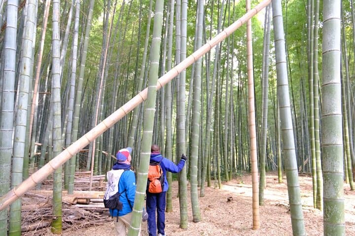 Bamboo Cycling in Kyoto with Local Life Experience and Lunch — photo 13