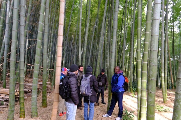 Bamboo Cycling in Kyoto with Local Life Experience and Lunch — photo 14