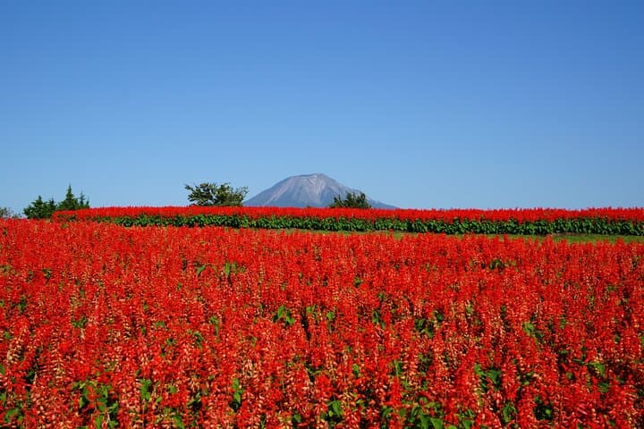 Explore Tottori with the Discover Another Japan Pass — photo 4