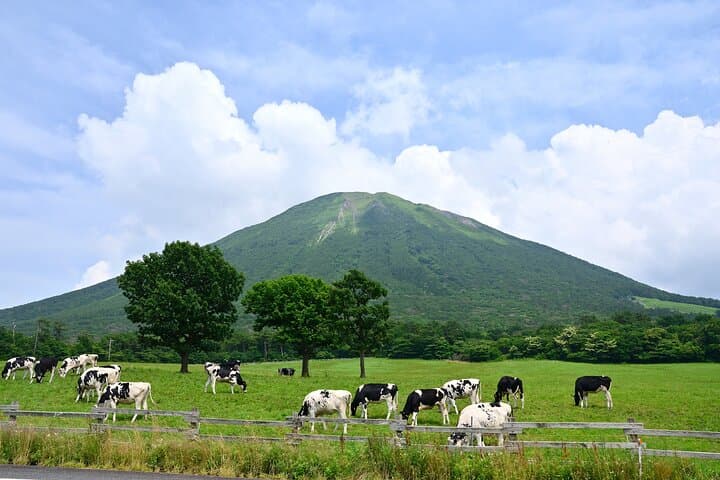 Explore Tottori with the Discover Another Japan Pass — photo 5