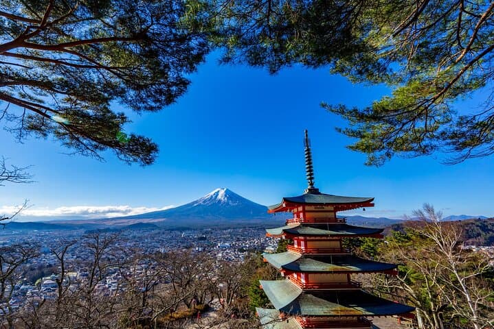 Mount Fuji Highlights Minibus（small group） Tour from Tokyo — photo 2