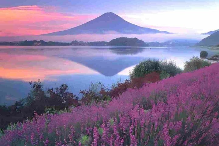 From Tokyo : Mount Fuji Private Tour With English Guide — photo 8