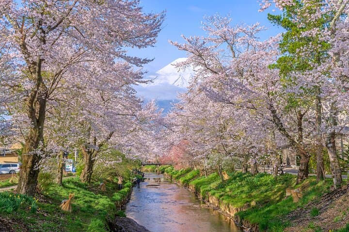 Mount Fuji Full Day Sightseeing Tour from Tokyo — photo 3