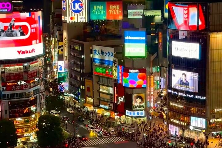 Tokyo Private Highlights Customizable Tour with English Driver — photo 4