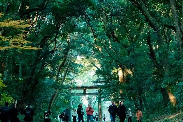 Tokyo Private Highlights Customizable Tour with English Driver — photo 6