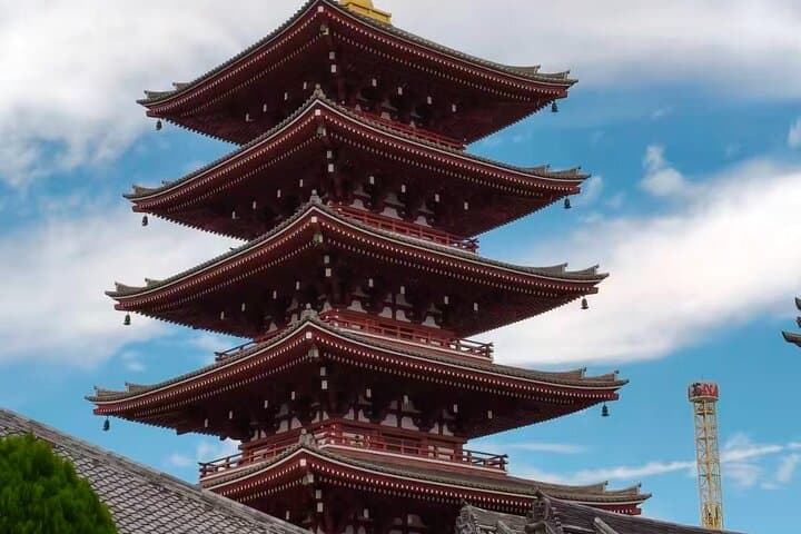 Tokyo Private Highlights Customizable Tour with English Driver — photo 8