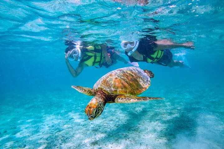 A staple of Miyakojima and Miyakojima!Sea Turtle Snorkel and Sunset SUP Tour — photo 9