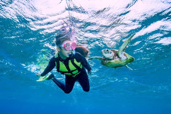 A staple of Miyakojima and Miyakojima!Sea Turtle Snorkel and Sunset SUP Tour — photo 11
