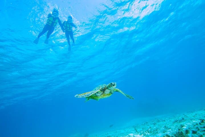 A staple of Miyakojima and Miyakojima!Sea Turtle Snorkel and Sunset SUP Tour — photo 16