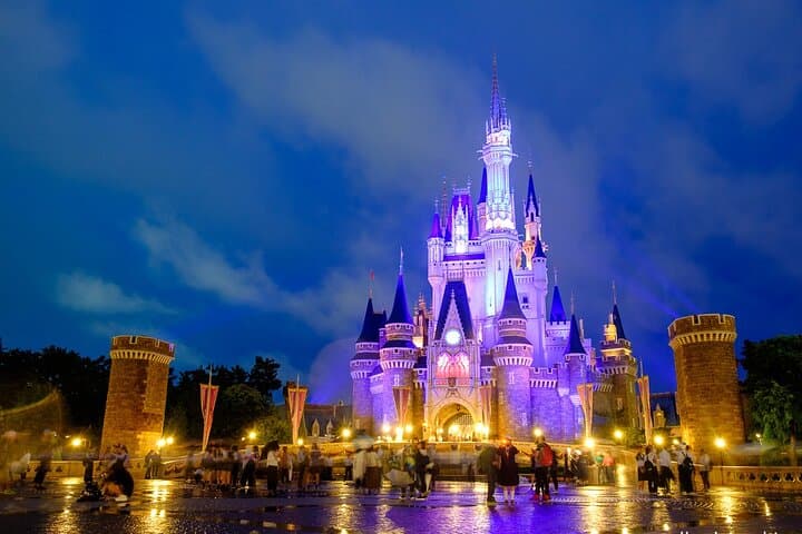 Tokyo Disney Resort Park E-Tickets with Options — photo 10