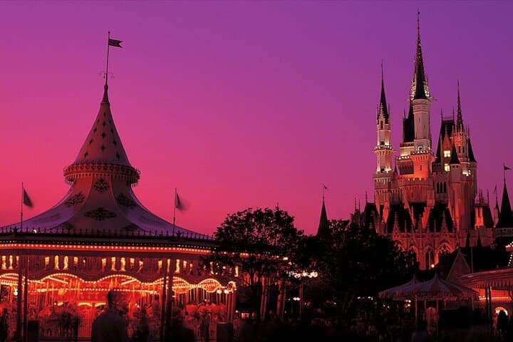 Tokyo Disney Resort Park E-Tickets with Options — photo 12