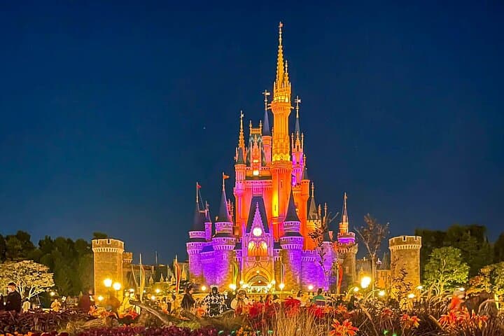 Tokyo Disney Resort Park E-Tickets with Options — photo 14