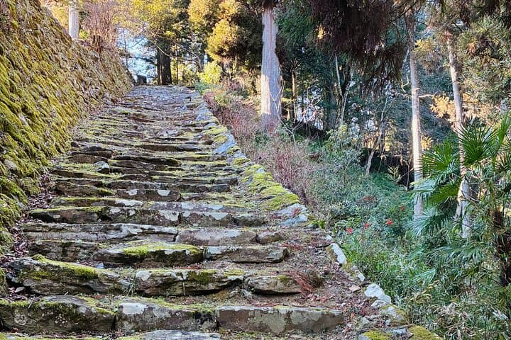 Day in Kusu An Experience Through Rural Japan — photo 9