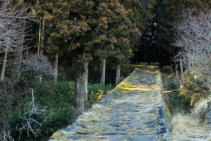 Day in Kusu An Experience Through Rural Japan — photo 8