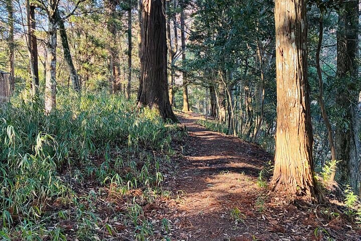 Day in Kusu An Experience Through Rural Japan — photo 12
