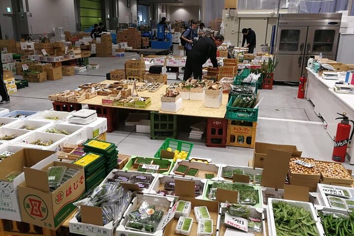 Complete Tuna Auction & Toyosu Market Tour with Fumi — photo 15