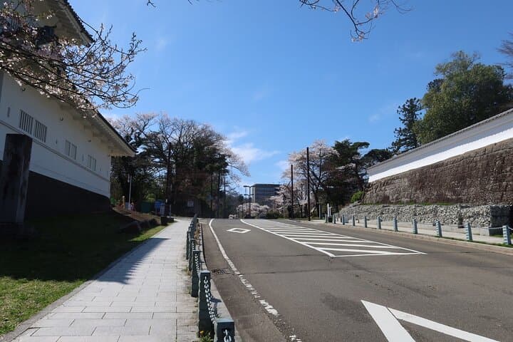 Sendai Highlights Customizable Private Tour — photo 6