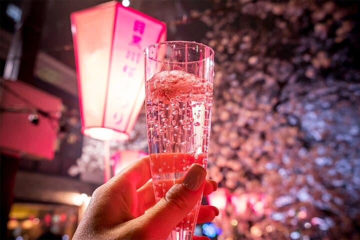 Tokyo Cherry Blossom Tour 5 Iconic Spots with Optional Lunch — photo 4