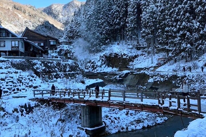 Nagano Day Trip Togakushi Shrine and Jigokudani Monkey Park — photo 3