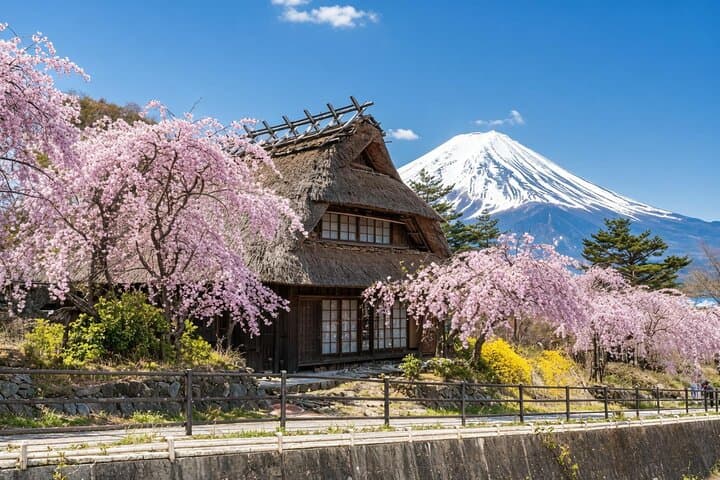 Tokyo: Mount Fuji Must-see Attractions One Day Sightseeing Tour — photo 2